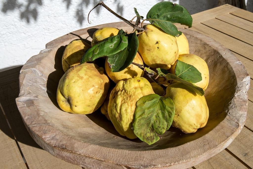 Atalbeitar Cortijo La Vinuelaヴィラ 部屋 写真